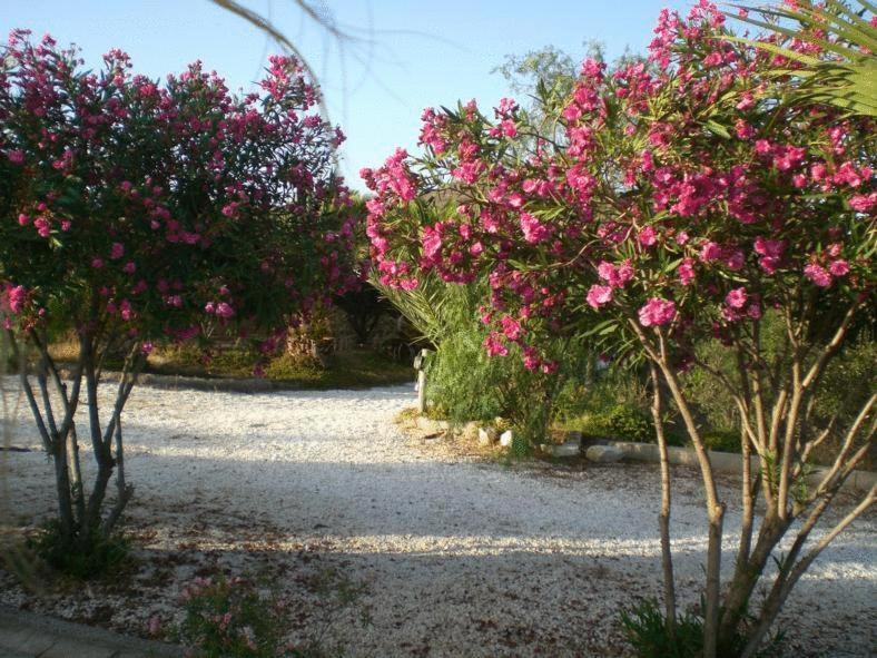 Casas Rurales Cortijo Torreblanca Parque Cabo De Gata Эль-Посо-де-лос-Фрайлес Экстерьер фото