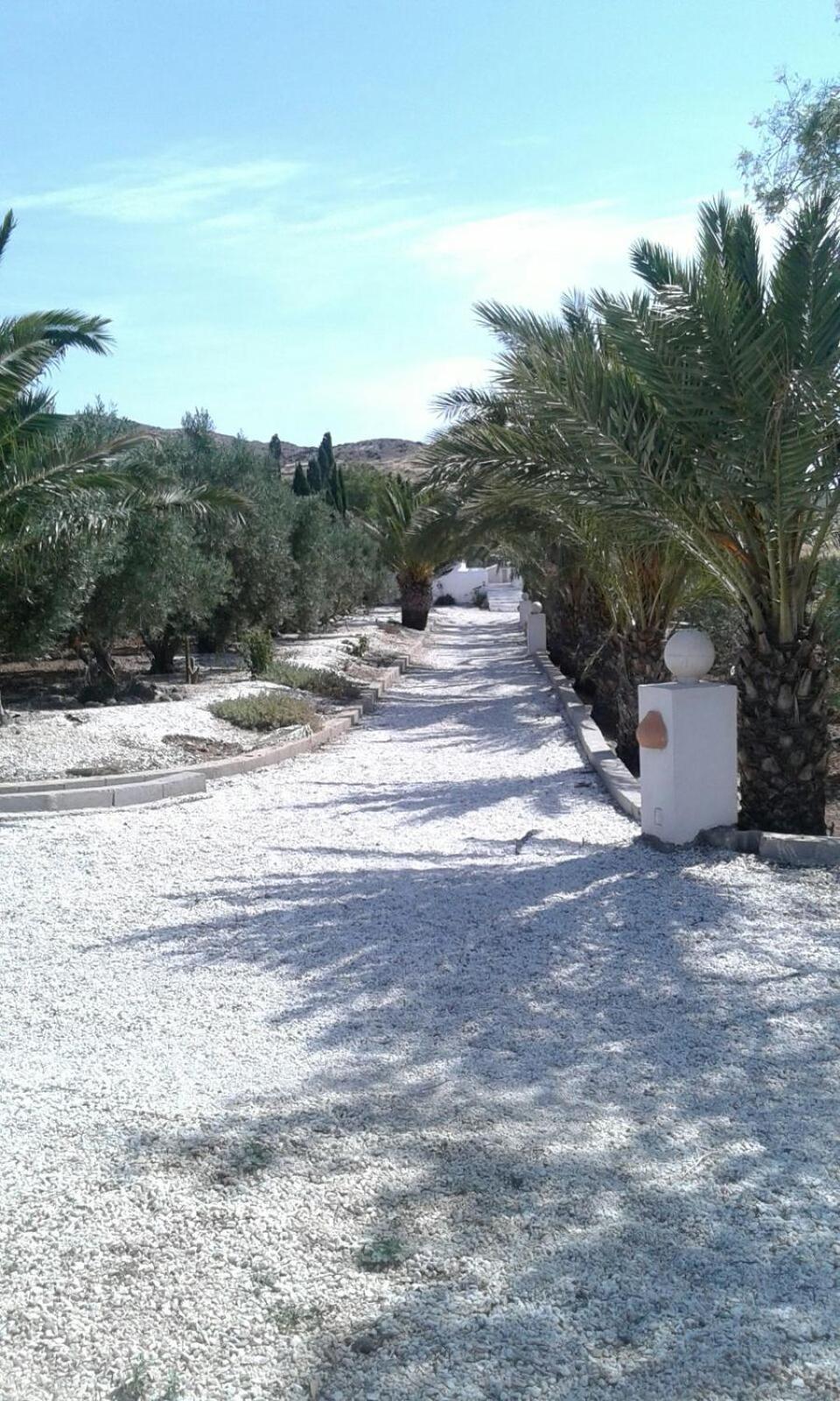 Casas Rurales Cortijo Torreblanca Parque Cabo De Gata Эль-Посо-де-лос-Фрайлес Экстерьер фото