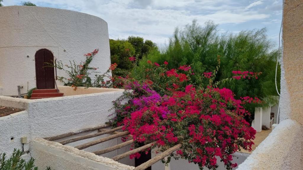 Casas Rurales Cortijo Torreblanca Parque Cabo De Gata Эль-Посо-де-лос-Фрайлес Экстерьер фото
