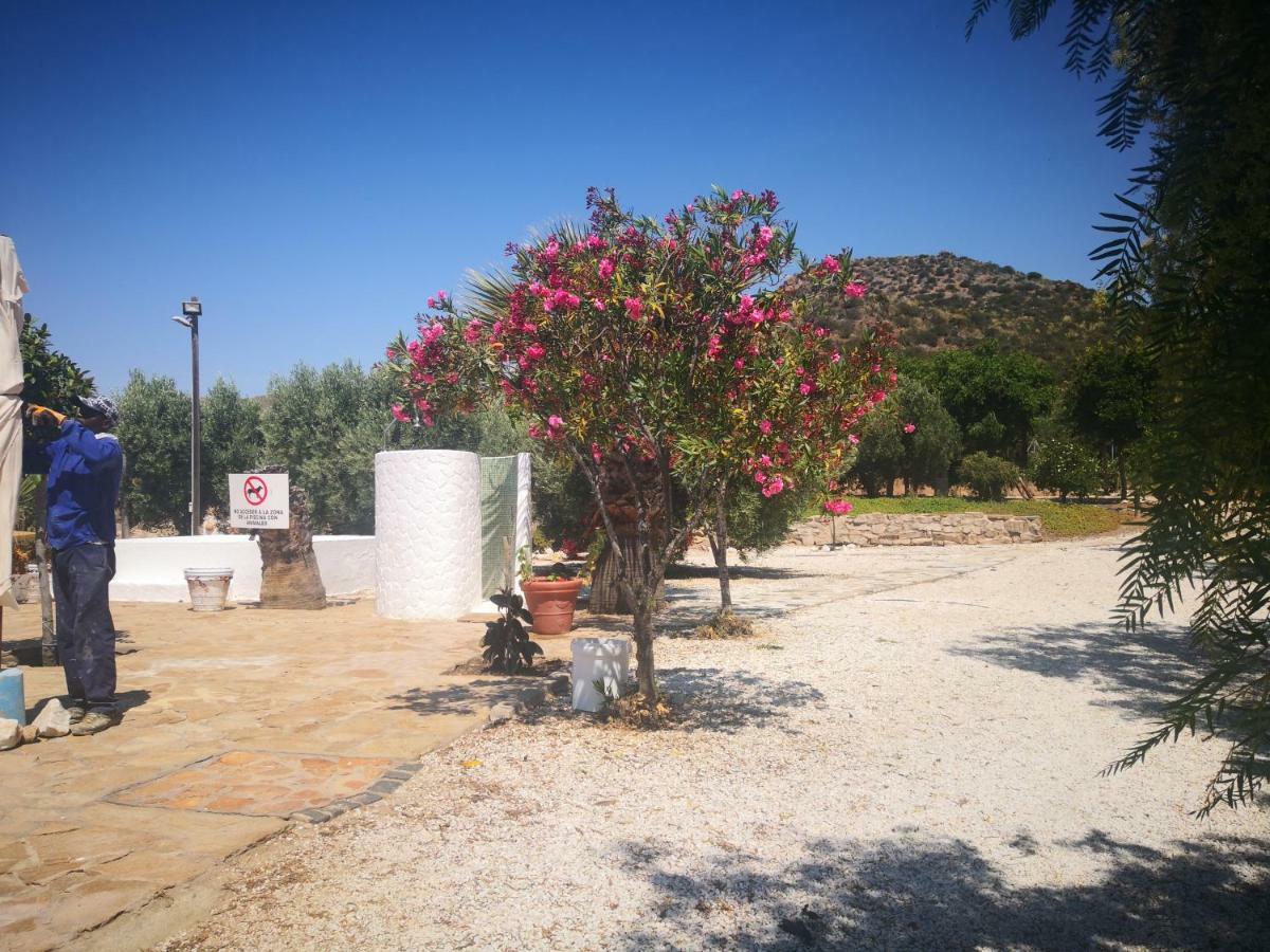 Casas Rurales Cortijo Torreblanca Parque Cabo De Gata Эль-Посо-де-лос-Фрайлес Экстерьер фото