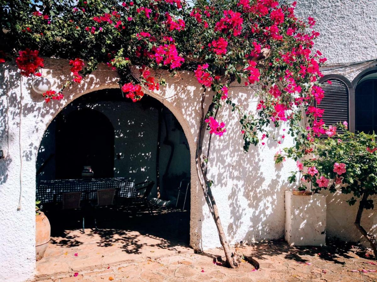 Casas Rurales Cortijo Torreblanca Parque Cabo De Gata Эль-Посо-де-лос-Фрайлес Экстерьер фото